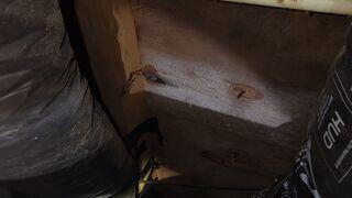 When this homeowner came back from vacation, he was greeted with a flooded crawlspace that had already began showing signs of mold growth.