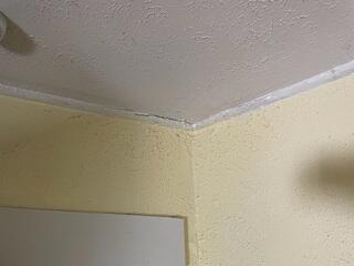 The homeowner became concerned that his home may have had foundation issues upon noticing cracks in his ceiling.