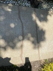 Sealed Sidewalk Cracks
