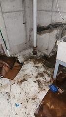 Homeowner Robyn noticed water leaking into her basement from a large crack in her basement wall. That's when she called Frank's to help her out.