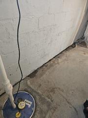This homeowner noticed water coming from the joint between the floor and the wall.
