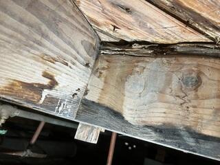 The wooden floor joists in the home's crawl space have deteriorated over time, weakening their support for the floors above and causing them to slope.