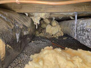 Moisture was absorbed by the insulation causing it to get saturated and fall down.