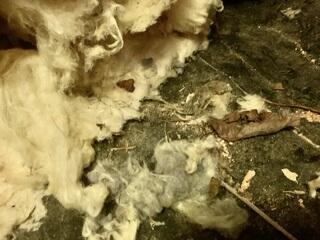 With a damp crawl space, the moisture is absorbed by the insulation. Once saturated, it begins to fall down so the space is no longer insulated.