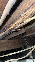During the crawl space inspection, the Design Specialist found that many of the wooden floor joists had sustained significant moisture damage.