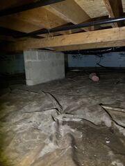 The Crawl space was cold and humid. This could result in deteriorating the quality of the air going inside the house, as well as rotting of the joists, leading to serious structural problems.