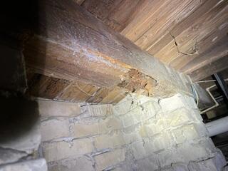 Upon close inspection of the crawl space by our Design Specialist, many of the floor joists and block piers showed signs of deterioration.