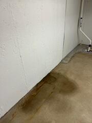 Wet Basement