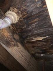 When assessing the crawl space, it was discovered water damaged the subfloor and joists and would need to be supported as well as removing the subfloor and replacing with new material.