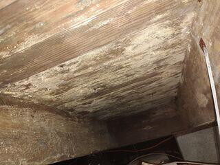 Upon inspecting the homeowner's crawl space, the LRE Design Specialist discovered significant moisture damage to the wooden structural supports.