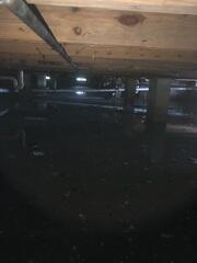 The LRE Design Specialist quickly identified that the homeowner's crawl space had flooded, posing a serious risk of damage to the structural supports and creating conditions conducive to mold growth.