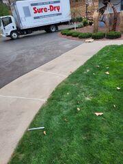 We utilized PolyLevel to skillfully lift and stabilize the sinking concrete, then sealed the cracks with NexusPro, assuring a polished, safer, and longer-lasting surface. As shown in this photo, our reliable solution turned a problematic walkway into a smooth, welcoming path.