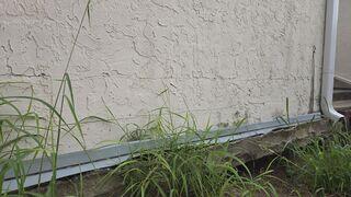 Horizontal wall cracks along the exterior walls of the home were a clear indication that the lack of support beneath the foundation had caused it to settle.