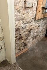 Wet and Humid Basement Waterproofed in Saint Louis, MO