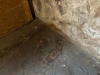 Waterproofing a Leaky Basement in Saint Louis, MO