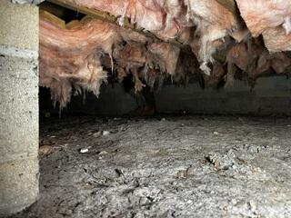 An inspection of the homeowner's crawl space by an LRE Design Specialist revealed the absence of a proper moisture regulation system, leaving the area vulnerable to excess humidity, moisture damage, and potential mold growth.