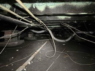 During the crawl space inspection, the LRE Design Specialist discovered a damp, humid environment that was highly susceptible to moisture damage and mold growth.