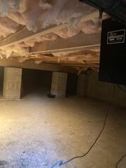 One of our pest control techs mentioned that as he was installing a rodent bait station, he could tell that the humidity levels in the crawl space were extremely high. He also noticed that the insulation was full of moisture and falling down. So he told the owner, who then called our Crawl Space division, and we were sent out to fix those issues!