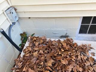 Before IceGuard™ Install