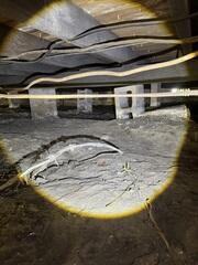 During the inspection of the homeowner's crawl space, the LRE Design Specialist discovered that many of the original block piers supporting the home's floor joists had settled into the soil below.