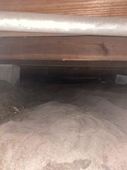 The LRE Design Specialist's inspection of the homeowner's crawl space revealed inadequate support for the floor joists above.