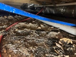 Debris and moisture issues were present in this crawl space during the inspection.