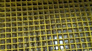 Targeting & Eliminating the Drain Flies