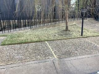 Sidewalk Leveled and Realigned After Repair