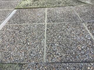 Seamless Concrete Leveling and Joint Protection