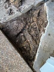 Excavating a Tree Root Beneath Broken Concrete