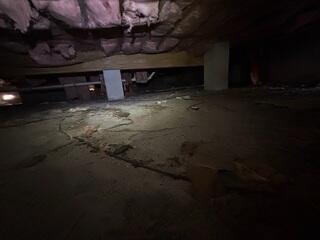 During the crawl space inspection, the LRE Design Specialist quickly identified elevated humidity and moisture levels, confirming the homeowner's concerns and highlighting the need for immediate action to prevent further damage.