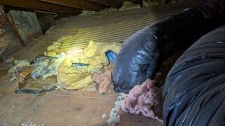 Saturated with Urine & Feces