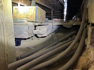 Rats Inside the Crawl Space