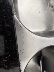 From a Small Crack in the Window