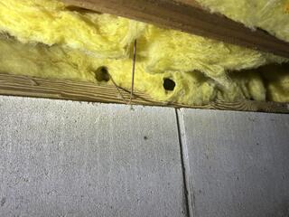 What Are Mice Tunnels Again