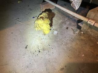 They Left Some Presents for Us