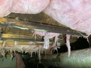 Moldy Crawl Space Joists