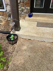 Sidewalk and Step Sinking