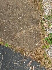 Cracked Sidewalk