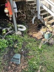 LawnScape