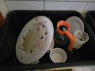 Dirty Dishes Left Out