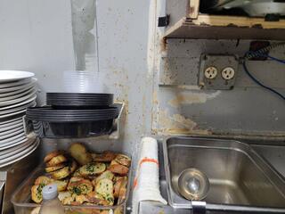 Started the Fruit Fly Treatment