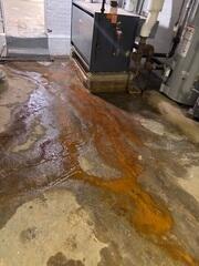 Iron ochre is a natural occurring rust-colored, gelatin-like, substance formed by iron bacteria. This basement had the unfortunate combination of iron ochre mud and water leakage in the basement.