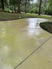 Protecting This Driveway
