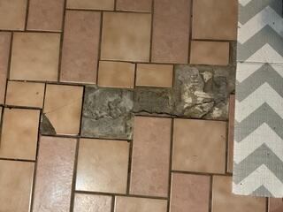 Interior Floor Cracking
