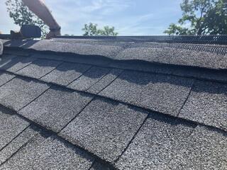 Now That They're Removed