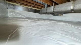 CleanSpace