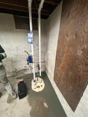 TripleSafe Sump Pump