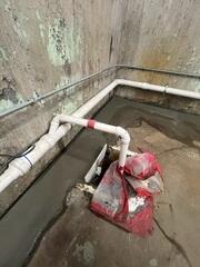 WaterGuard Integrated with Existing Sump Pump