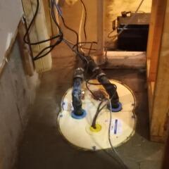 TripleSafe Sump Pump System